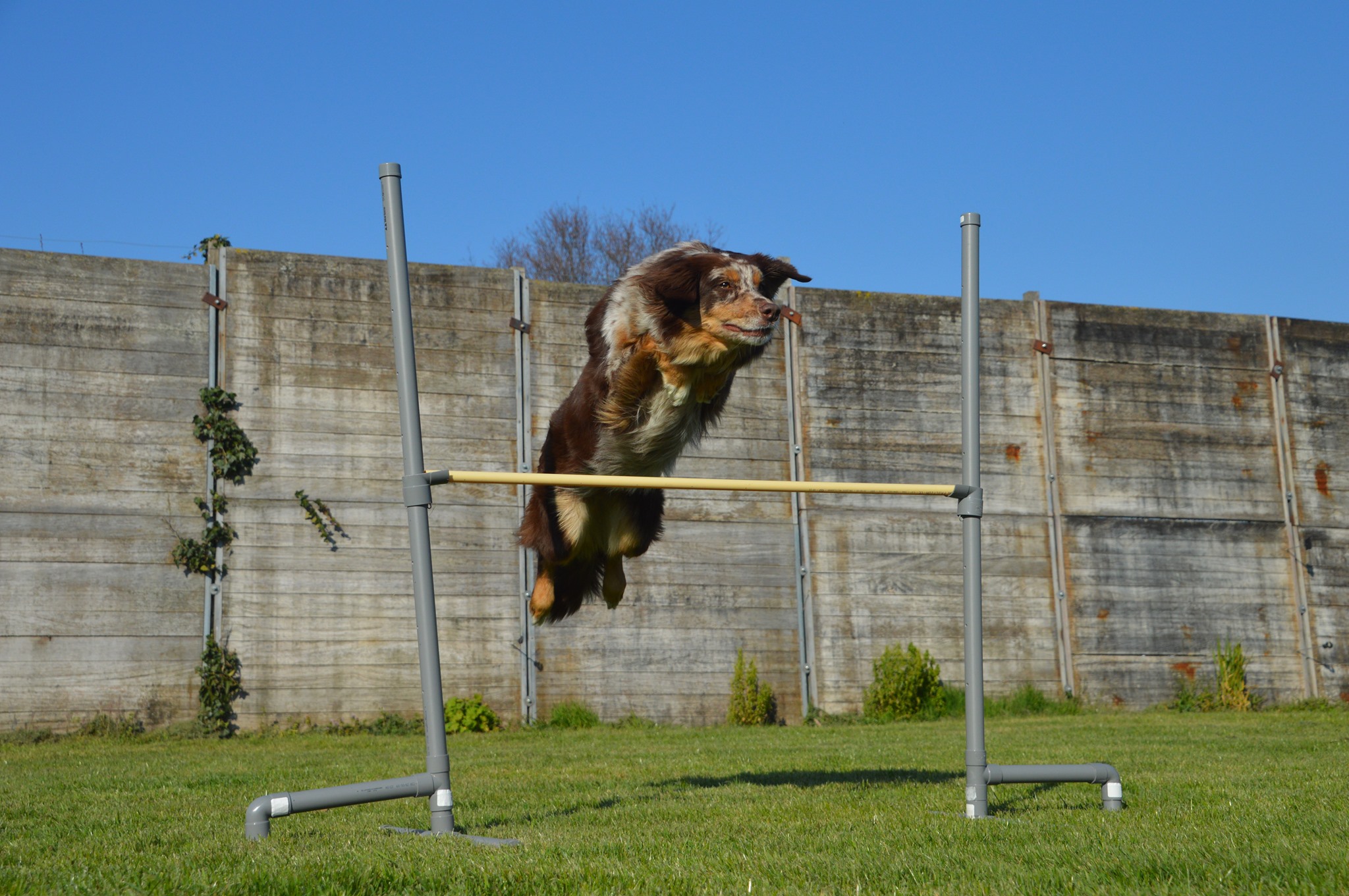 Agility